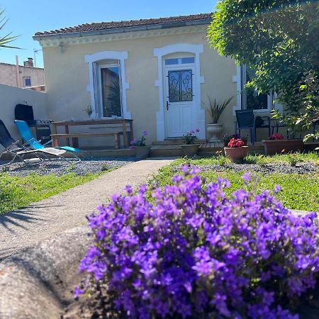 Charmante Maison Climatisee Avec Piscine Au Calme A 卡尔卡松 外观 照片